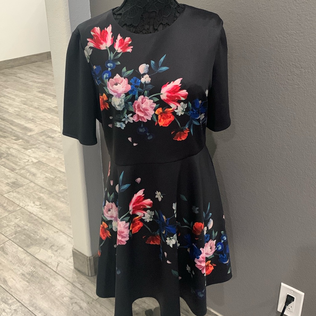 Nwt Ted Baker Skater Dress